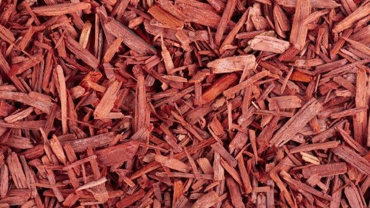 लाल चंदन का उपाय दूर करेगा आपका संकट ! लाल चंदन का उपाय दूर करेगा आपका संकट !