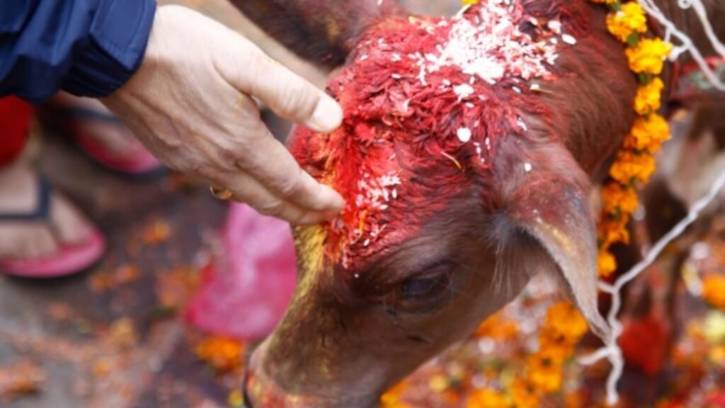 धर्म के साथ विज्ञान से भी जुड़ी है ये भारतीय संस्कृति! धर्म के साथ विज्ञान से भी जुड़ी है ये भारतीय संस्कृति!