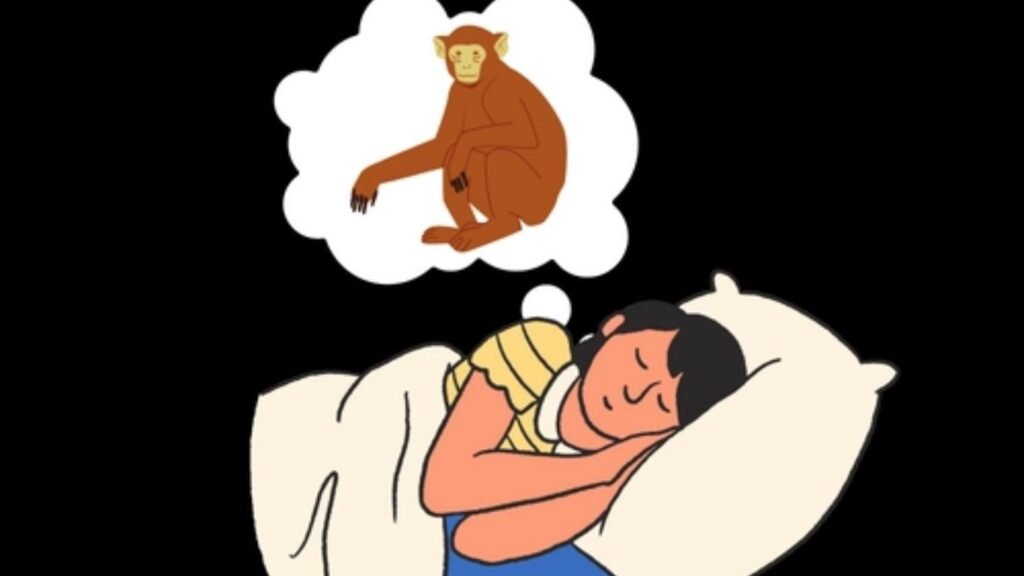 sapne me bandar dekhna: किस बात का संकेत है सपने में बंदर का दिखाई देना?