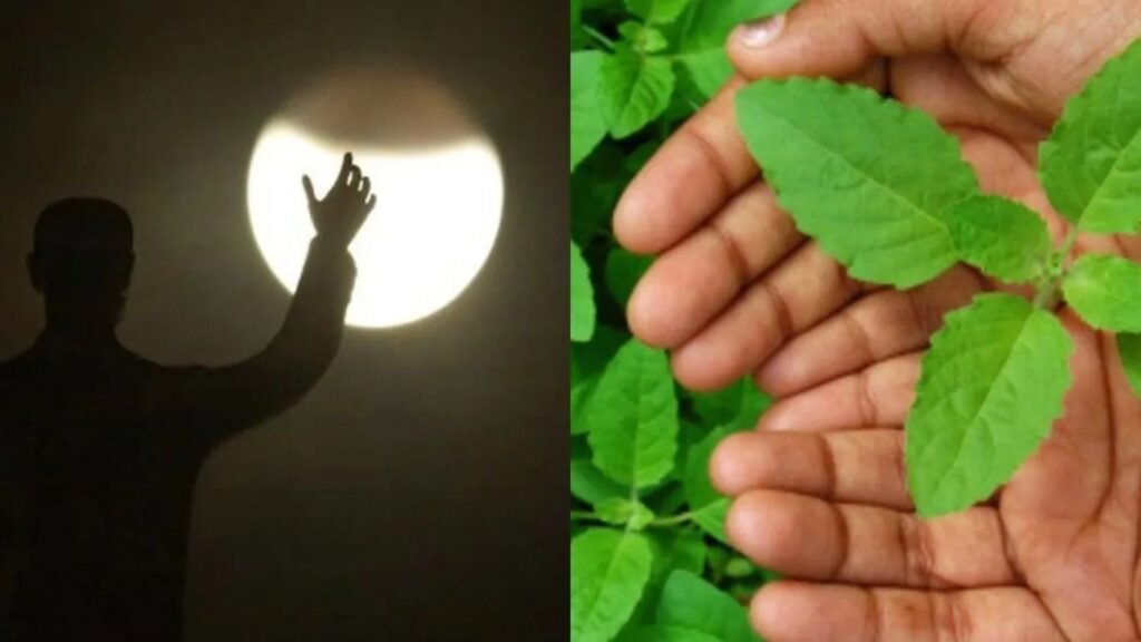 चंद्र ग्रहण के दौरान नकारात्मकता को खत्म करने के लिए करें तुलसी के उपाय! चंद्र ग्रहण के दौरान नकारात्मकता को खत्म करने के लिए करें तुलसी के उपाय!