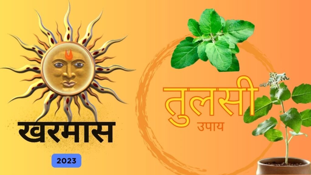 खरमास के दौरान तुलसी पूजन माना जाता है शुभ, परंतु इसके पूजन नियम पर भी दें ध्यान!