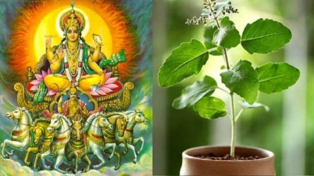 खरमास के दौरान तुलसी पूजन माना जाता है शुभ, परंतु इसके पूजन नियम पर भी दें ध्यान! खरमास के दौरान तुलसी पूजन माना जाता है शुभ, परंतु इसके पूजन नियम पर भी दें ध्यान!