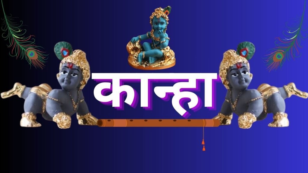 लड्डू गोपाल को घर में न छोड़े अकेले, अपनाएं ये नियम! लड्डू गोपाल को घर में न छोड़े अकेले, अपनाएं ये नियम!