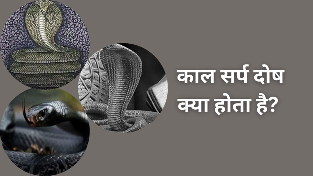 जानें क्या होता है काल सर्प दोष? भोलेबाबा है इससे बचने का एकमात्र उपाय, ये तरीके अपनाएं जानें क्या होता है काल सर्प दोष? भोलेबाबा है इससे बचने का एकमात्र उपाय, ये तरीके अपनाएं
