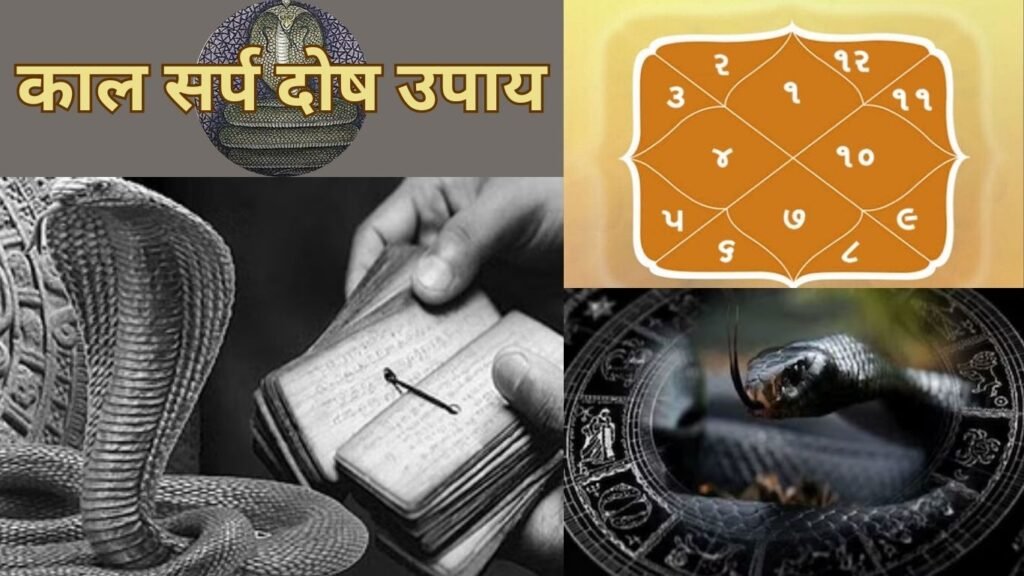 जानें क्या होता है काल सर्प दोष? भोलेबाबा है इससे बचने का एकमात्र उपाय, ये तरीके अपनाएं