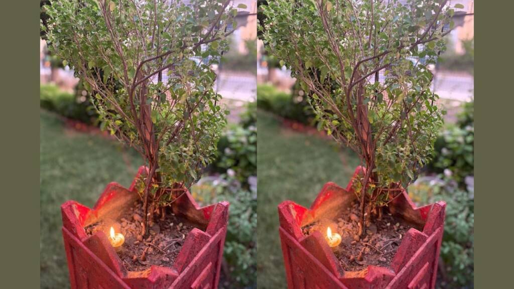 Varuthini Ekadashi Tulsi Puja