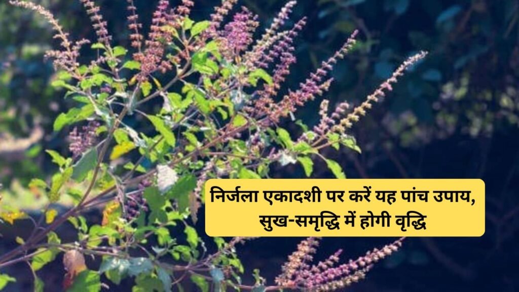 Nirjala Ekadashi Tulsi Ke Upay